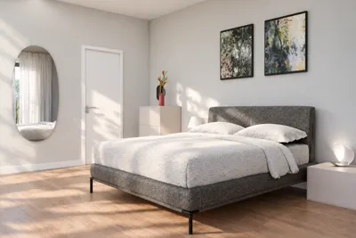 Render camera